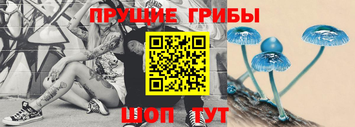 Галлюциногенные грибы Psilocybine cubensis  где купить наркоту  Железногорск  Вход с VPN 